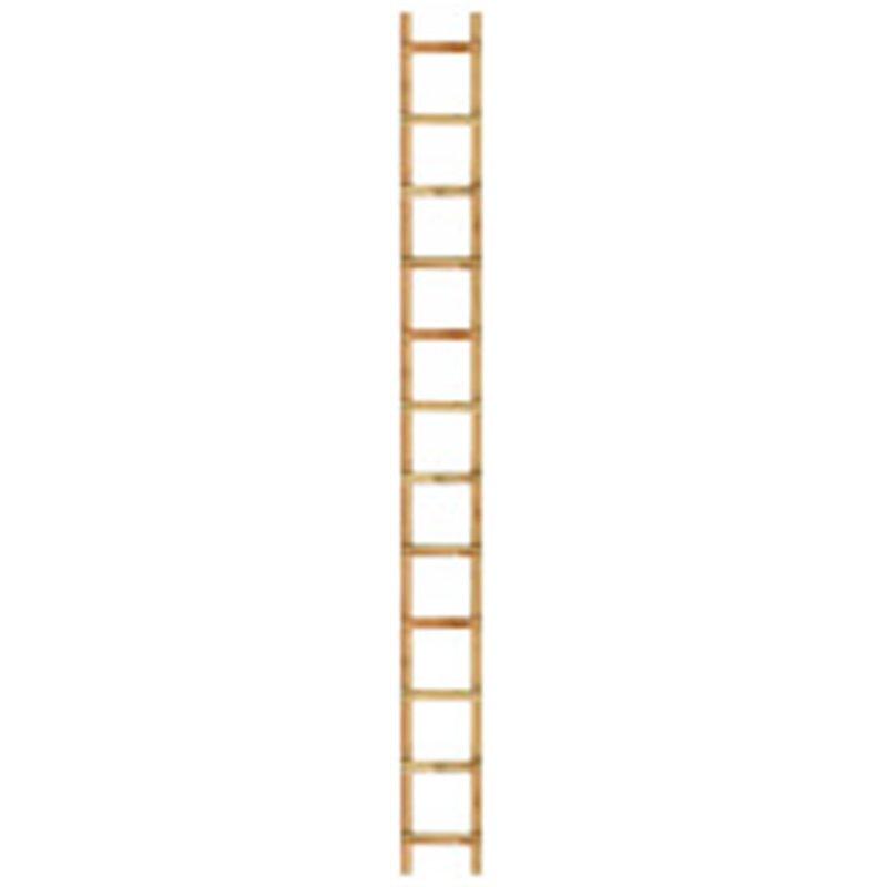 Echelle De Couvreur Renforcee - longueur 3 mètres