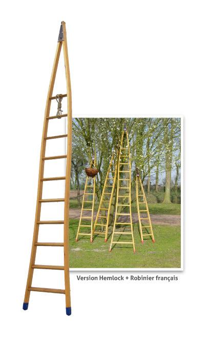 Echelle fruitière en bois Hemlock + Robinier 3,5m