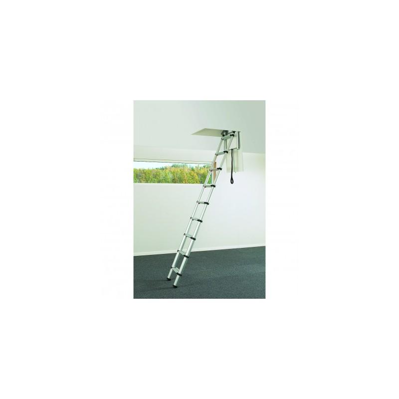Echelle télescopique pour toit 2,4-6 m noir