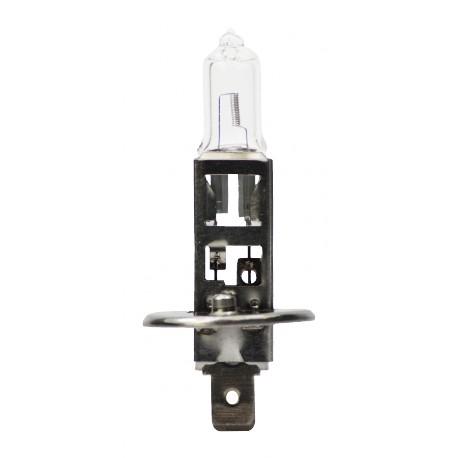 Ampoule halogene H1 12V 55W