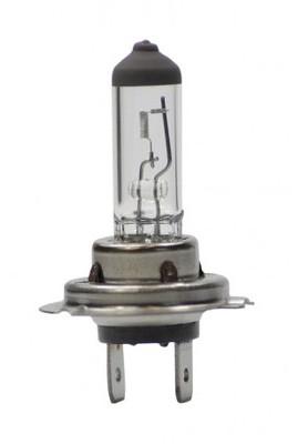 Ampoule halogene H7 55W 12V