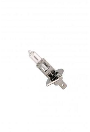 Ampoule premium halog  ne H1 55w 12V Ampoule premium halog  ne