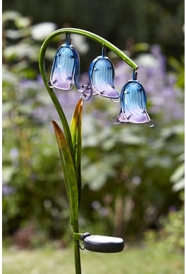 Lampe solaire Jacinthe bleue