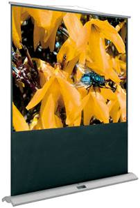 ORAY Ecran de projection portable FLY DUO 132 x 17