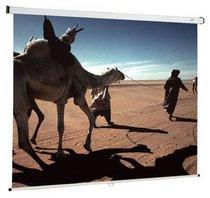 Ecran de projection Oray 150 x 150