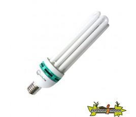 Ampoule CFL 125W Croissance 6400K°