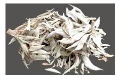 Sachet de feuilles de sauge blanche séchée 25 g