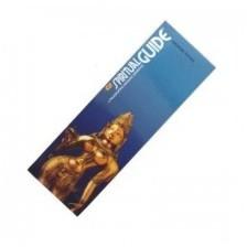 Encens batons spiritual guide 100 gr