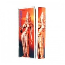 Encens batons spiritual guide 20 gr