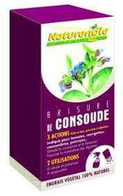 Brisure de consoude