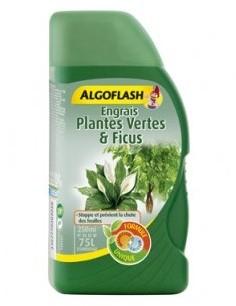 Engrais liquide Plantes Vertes et Ficus 250ml Engrais liquide Plantes Vertes