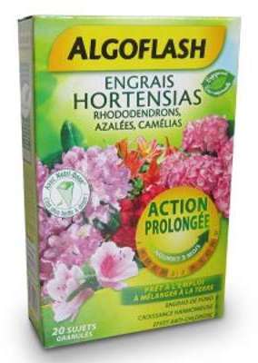 Engrais Hortensias Rhododendrons Azalées Camélias Action Engrais Hortensias Rhododendrons