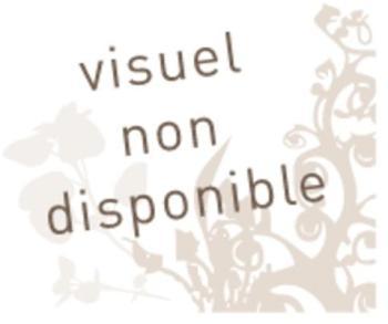 Escabeau pliable en aluminium 2 marches