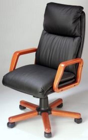 Fauteuil de bureau direction NADIR Extra cuir