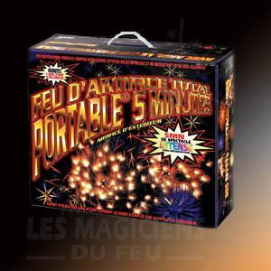 Portable 300 5 minutes Réception inoubliable