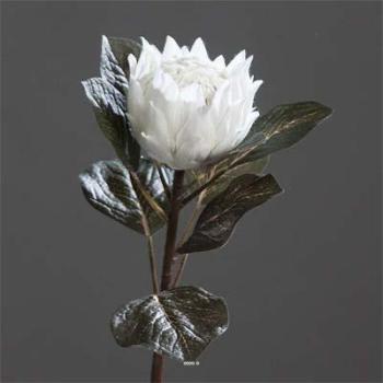 Protea artificiel Creme fleur exotique H 68 cm Gro