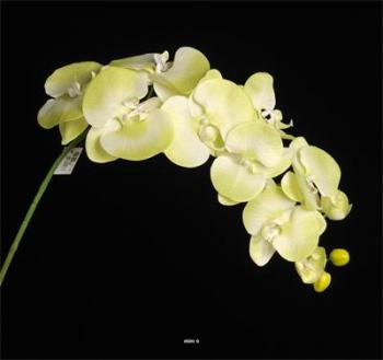 Orchidee Lisa artificielle Vert ete H 98 cm 8 fleurons Orchidee Lisa artificielle