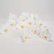 Fleur artificielle dorchidée en boîte D.10cm - Se