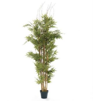 Plante artificielle hauteur 150cm