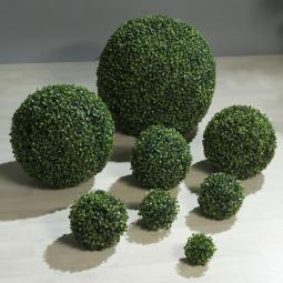 BUIS BOULE