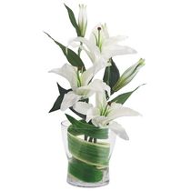 Bouquet Lys blanc + vase
