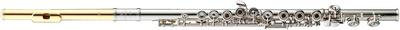 AZ-Z2RE/GP2 Flute