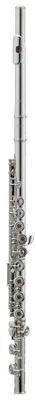 AZ-Z1RE Flute