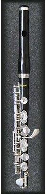 401 Piccoloflute Exotic Cocus