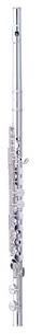PFA 207 ES Alto Flute