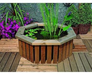 Étang pour Terrasse en Bois