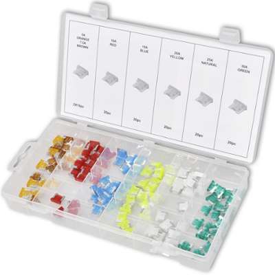 VidaXL Set de 120 mini-fusibles assorti