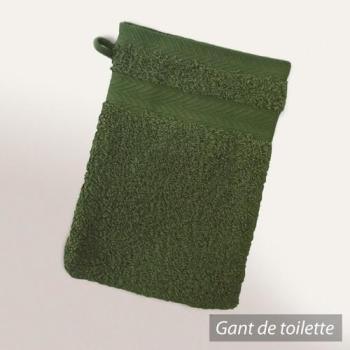 Gant de toilette 16x21 cm ROYAL CRESENT Vert Boute