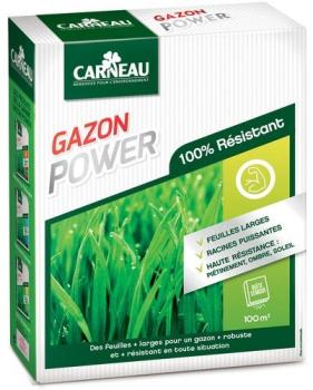 Gazon haute résistance Power 2 5kg Gazon haute résistance Power