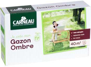 Gazon pour jardin ombragé - CARNEAU Gazon pour jardin ombragé
