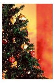 Guirlande solaire 50 LED multicolores