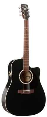 ART & LUTHERIE FOLK GUITARE FOLK ACOUSTIQUE NOIRE