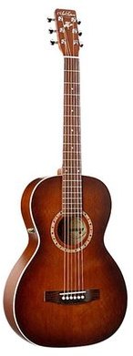 ART & LUTHERIE AMI GUITARE FOLK PARLOR ELECTRO ANT