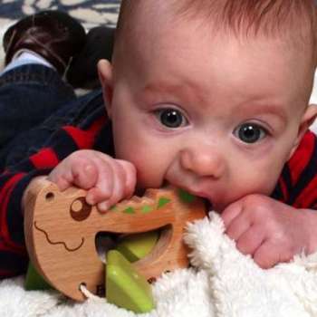 Hochet EverEarth Crocodile - Jouets en bois
