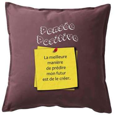 Housse de coussin 50x50 cm 100% Coton décorée Pens