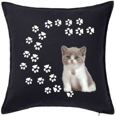 Housse de coussin 50x50 cm 100% Coton décorée Chat