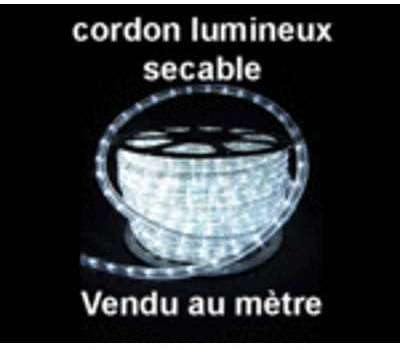 Cordon lumineux 13mm 230V led blanc froid Cordon lumineux 13mm 230V