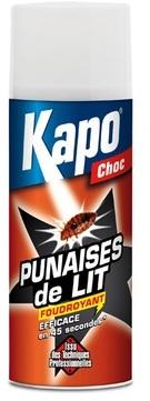 Aérosol Foudroyant Spécial Punaises de lit 400ml.