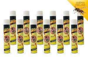 Aérosol anti guêpes et frelons en 750ml Choc et fo