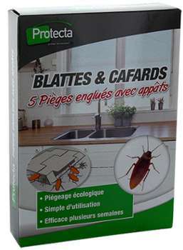 Piège englué écologique Blattes - Cafards - Boite de Piège englué écologique Blattes