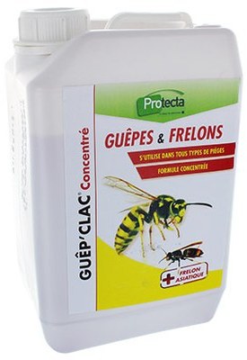 Attractif Professionnel Guêpes - Frelons - Mouches