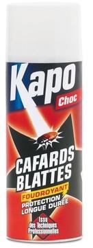 Aérosol Foudroyant Cafards, Blattes 400ml. - Kapo.