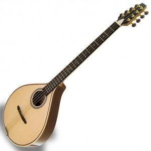 Bouzouki Irlandais Carvalho Ib305 - Bouzouki