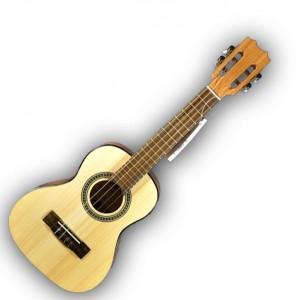 Carvalho 110 Bresil - Cavaquinho