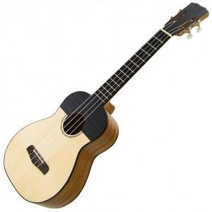 Cuatro Carvalho Cua100 - Autres Cordophones
