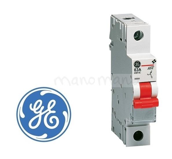 Interrupteur Sectionneur Modulaire 1 pôle 63A - GE